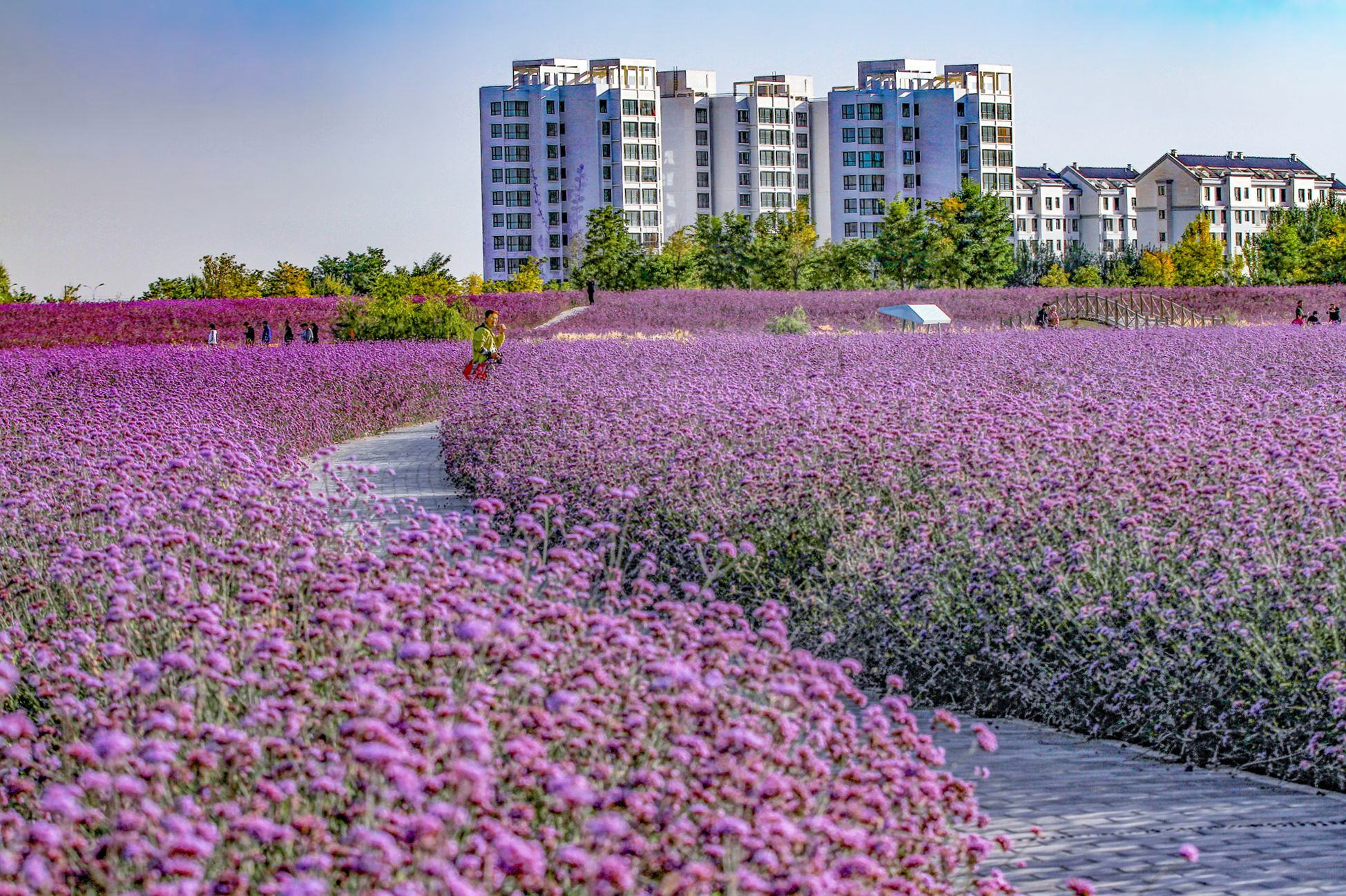 金昌武威张掖酒泉嘉峪关,甘肃金昌的房子值得购买吗