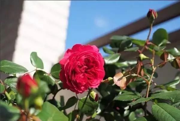 每天学习一点点女性小常识,每天学习一点点科普一下