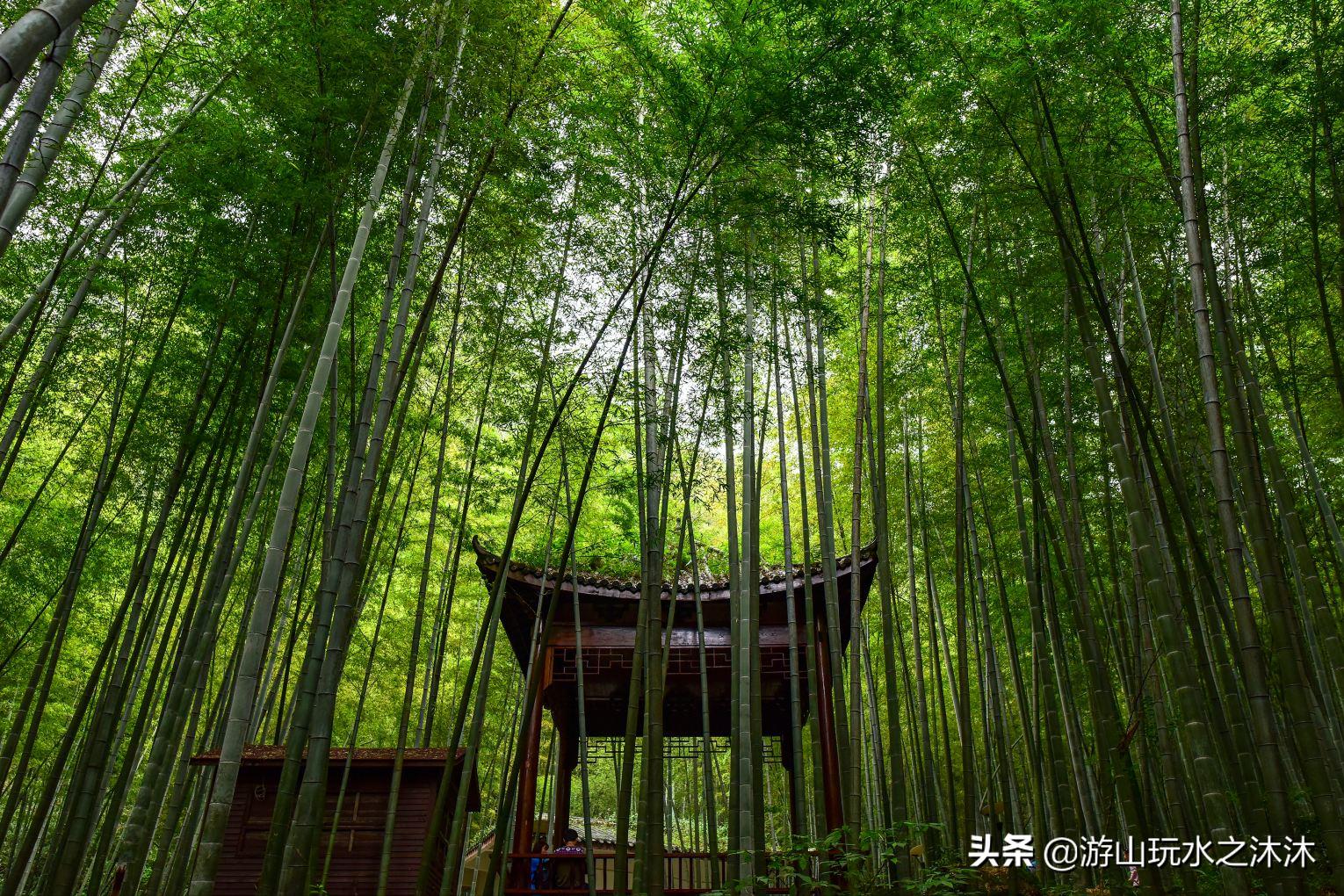 永川吃喝玩乐特色街,永川美食攻略必去的地方