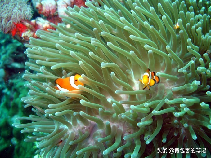 三亚比较安静海滩又特别美的地方,三亚周边绝美的浪漫海滩