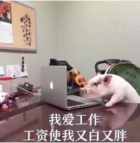 副业5000的兼职,月入5000的副业免费给大家公开