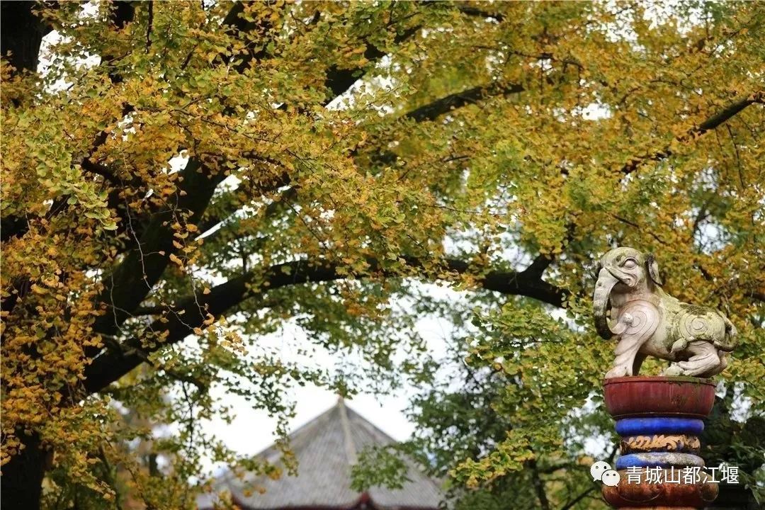 在古村落拍照怎么摆姿势好看,在古堰拍照姿势