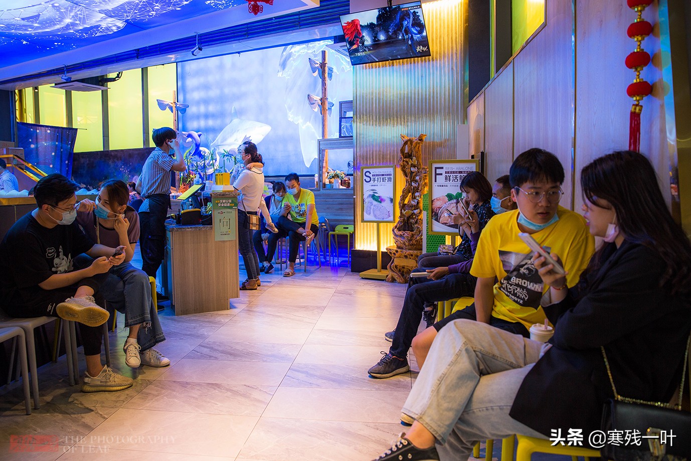 杭州蓝鳍金枪鱼自助,杭州金枪鱼自助