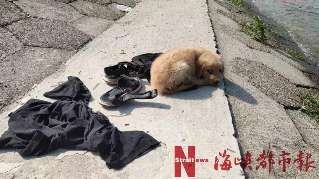 登云水库溺水事件,福州登云水库溺水事件