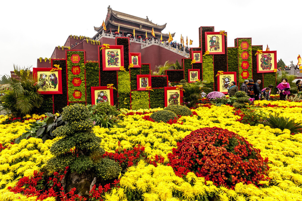 重阳节赏菊花的介绍,赏菊打卡好去处