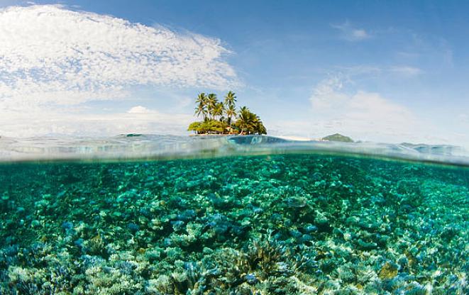 畅游梦幻海洋，嗨玩御园盛夏