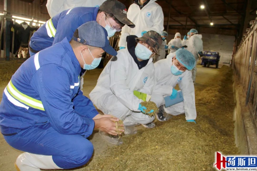 走进乐源君邦和邢台君兴丨中瑞项目她来了