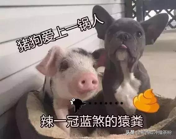 广东人讲普通话原声,广东人讲普通话笑翻一条街