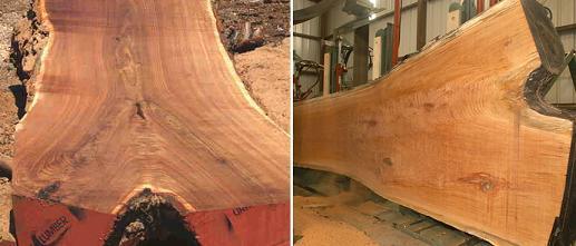 你不知道的美国产品,白橡木皮一般是直纹还是山纹