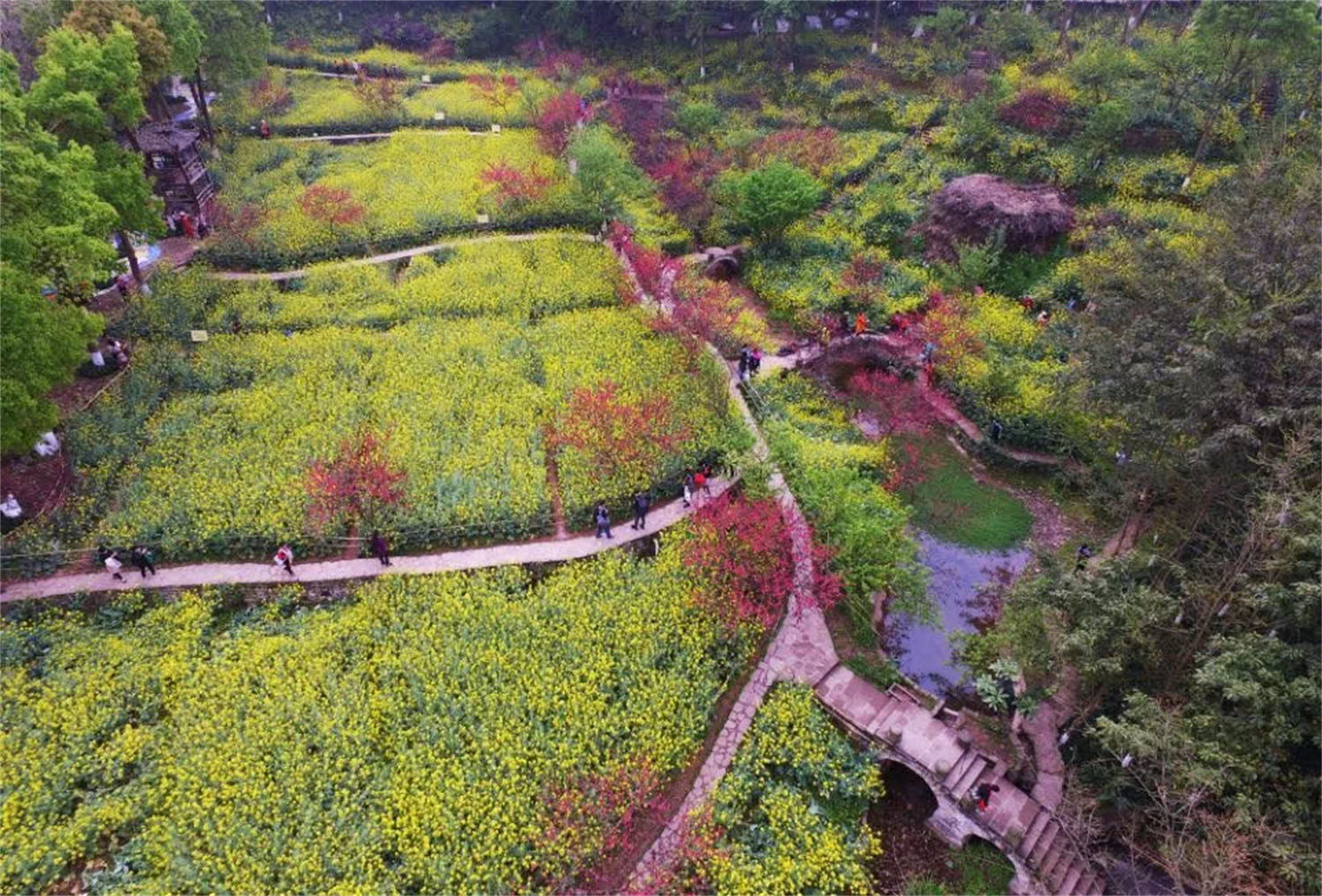 四川美术学院,自由开放的大学,却因风景太好被称为“农村”