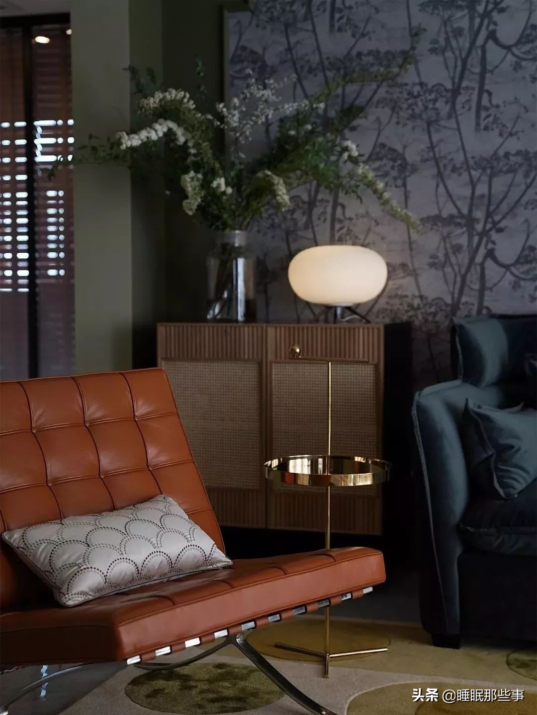 看了一眼她家的绿墙,我觉得我家还可以再抢救一下