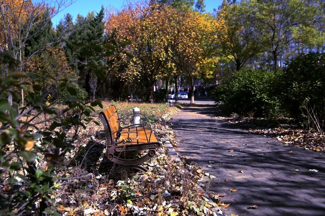 辽宁省普通高等院校（二十五）沈阳工程学院