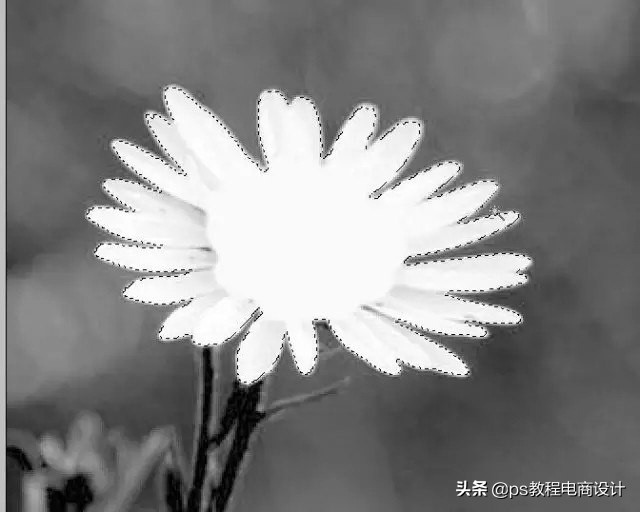 快速抠图ps人物头发,2021版ps快速抠图