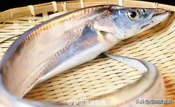 32种经典寿司做法视频,寿司常用的鱼