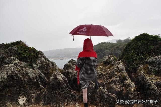 春节海洋旅游攻略,新春旅游推荐2-3天游