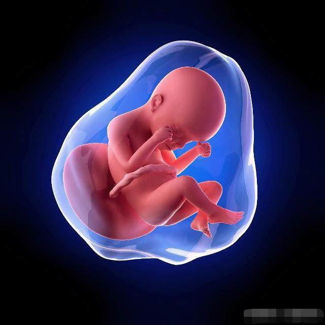 怀孕后,若身体出现这3个症状,可能是动了“胎气”,别忽视!