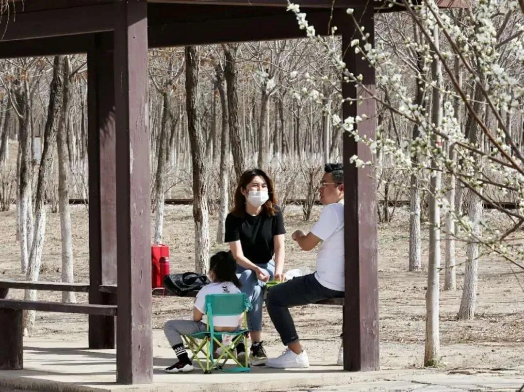 天津市五一新开放的公园,天津春暖花开西沽公园