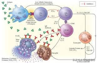 儿童哮喘免疫治疗的副作用,免疫抑制剂治疗过敏