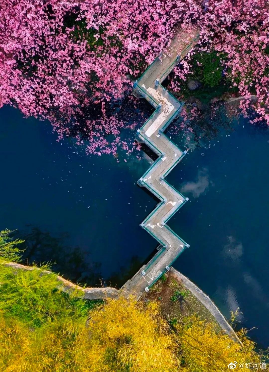 被大理丽江掩盖风头又怎样？它才是云南No.1！5月它太美了