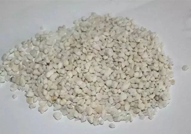 仅用树皮养兰花的方法,树皮养兰花什么样的树皮最好看