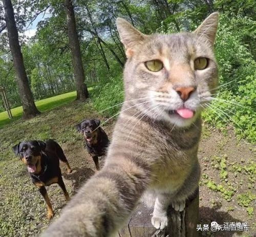 无锡车辆违停举报,无锡路边违停怎么网上举报