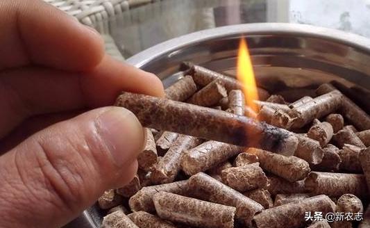 农村月入2500元冷门创业项目,未来十年最紧缺生意农村创业点子