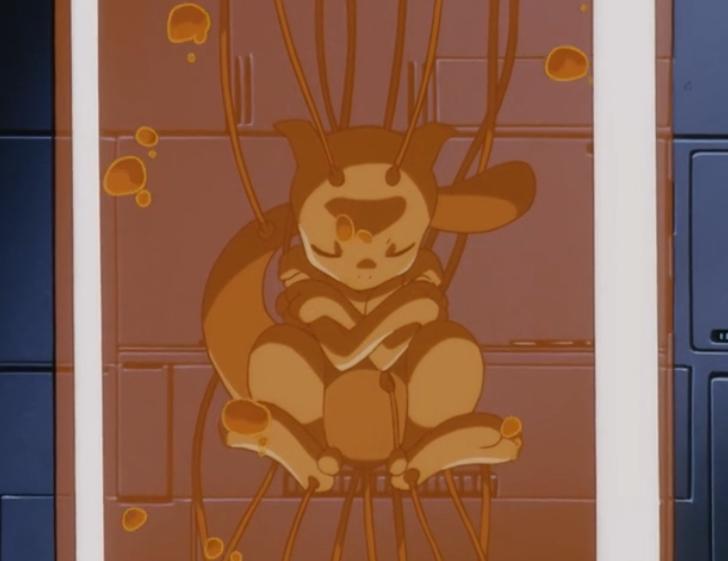 宝可梦5000多的超梦,宝可梦mega排位