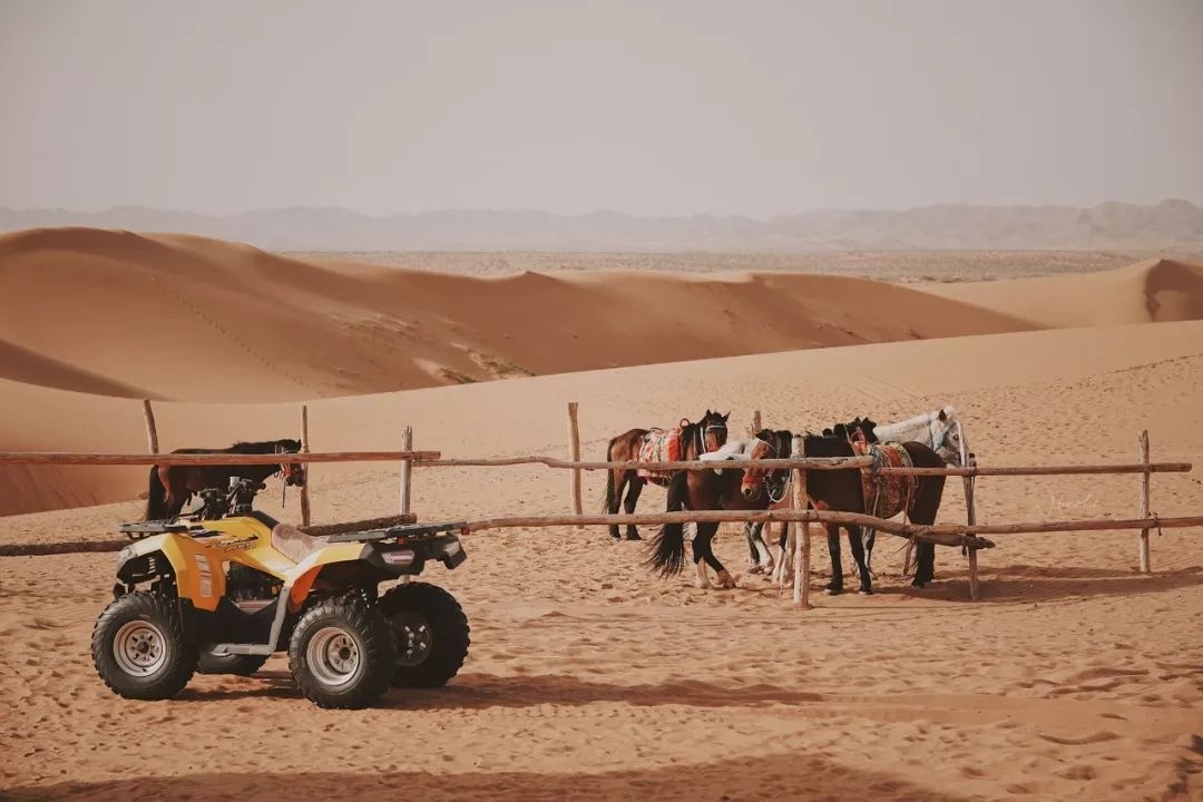 可盐可甜是哪首歌的歌词,可盐可甜出自哪