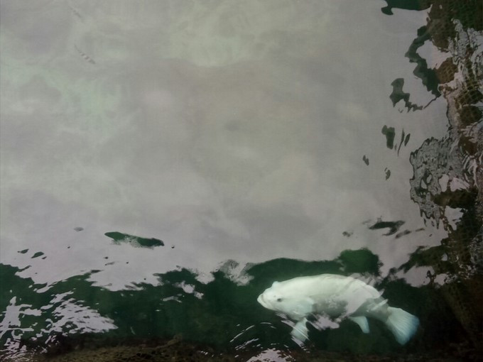 三亚旅游最详细自由行攻略,三亚旅行详细攻略自由行