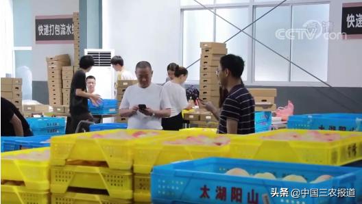 一桃难求!水蜜桃还可以吸着吃?一只能卖80元