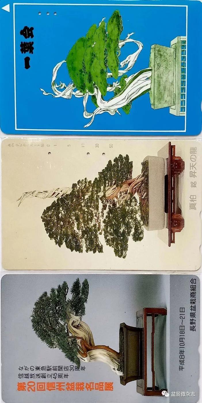 鐩嗘櫙鑱旂郴鐢佃瘽鍙风爜,涓鐩嗘櫙鑱旂郴鏂瑰紡