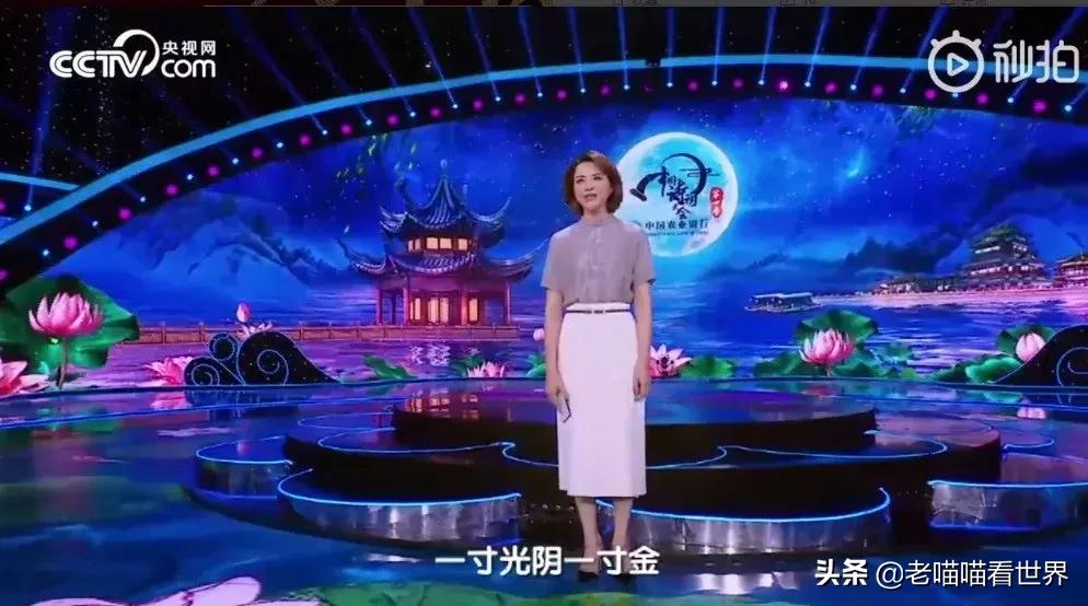 班级诗词大会董卿开场白,董卿开学第一课讲诗词