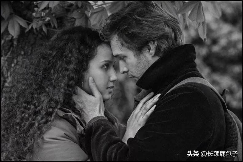 人气最旺的十部片,2020十部巅峰片