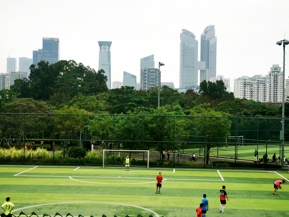 即便是阴天，也挡不住深圳如画的春景！这座城市的绿化真的可以