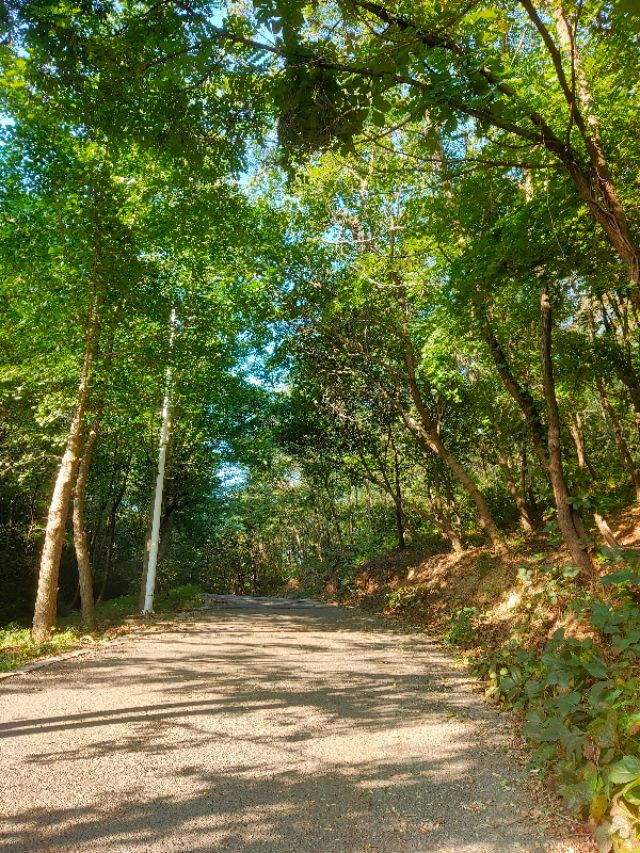 大连安波鸿缘温泉山庄,大连安波温泉民宿