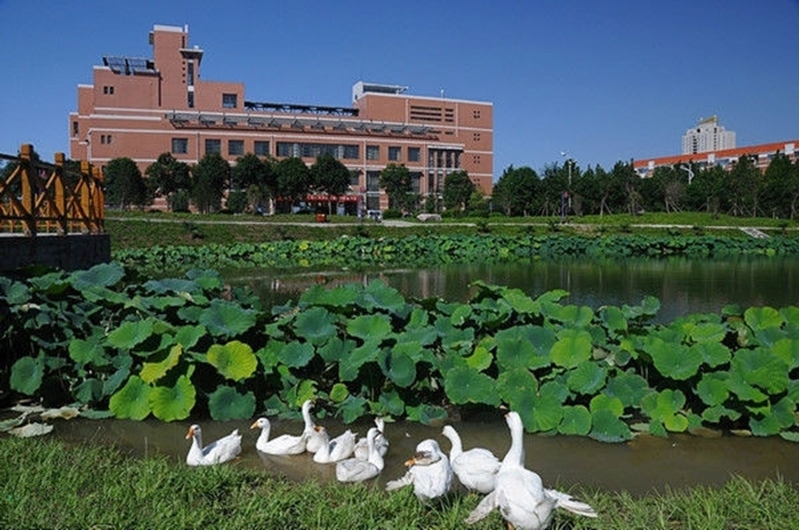 河南理工入选双一流公布,河南理工大学推进双一流建设