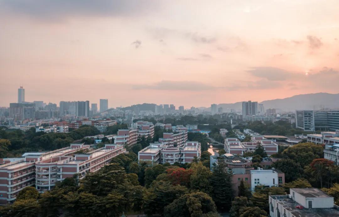 报考华南农业大学,华农报录比