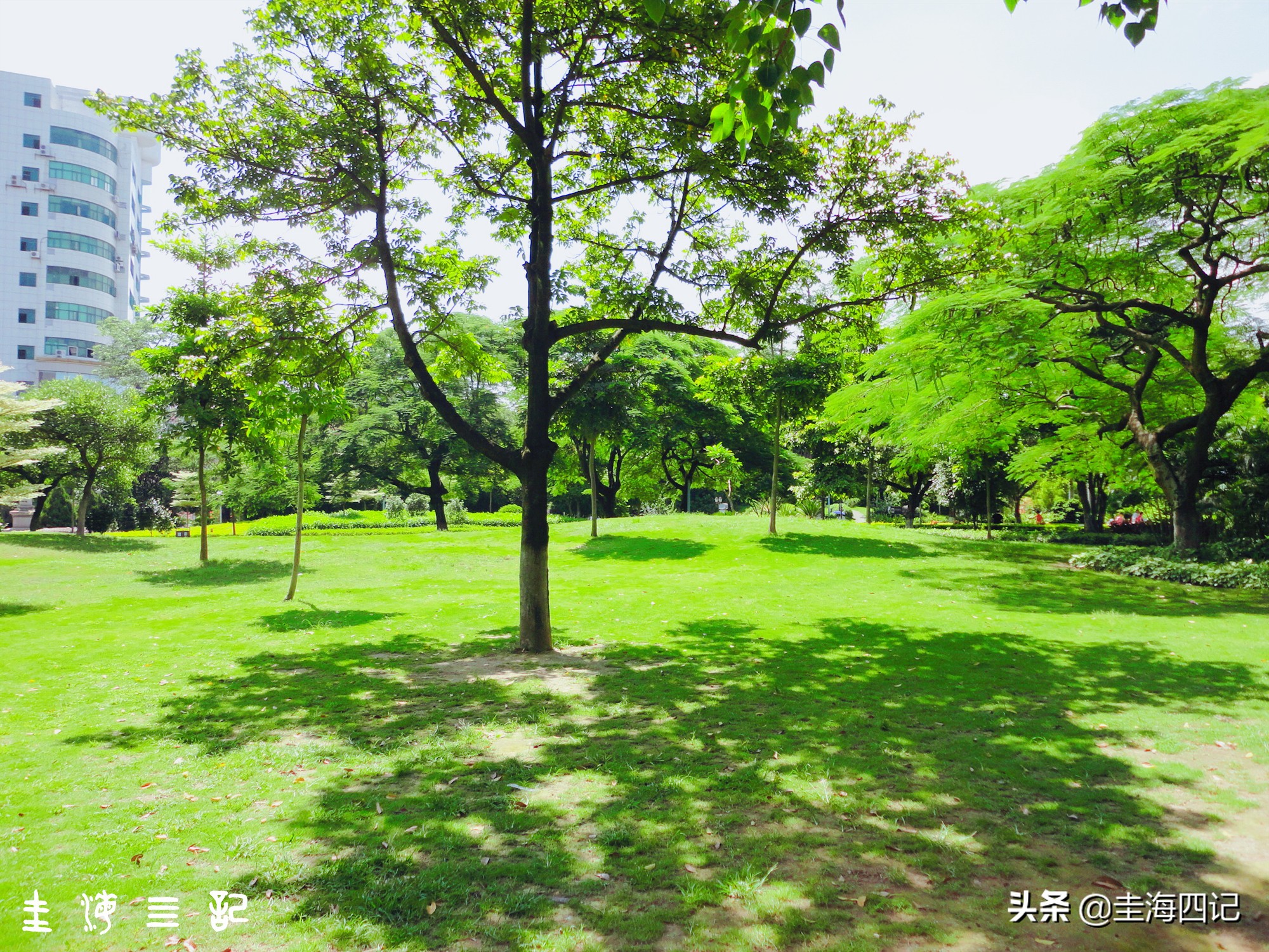 你是福建人？识别闽南人指南八法