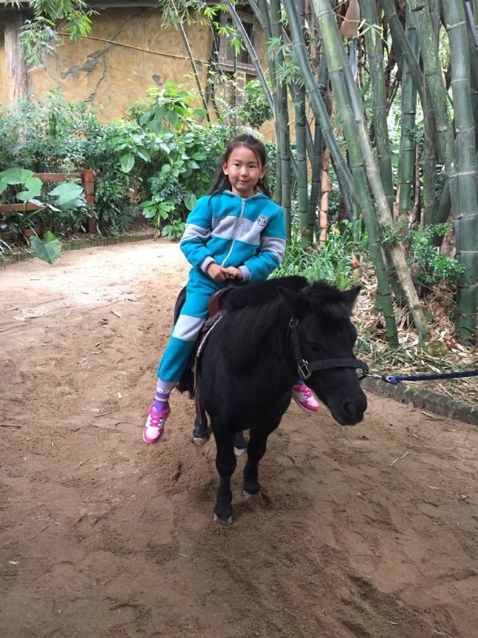 长隆野生动物园旅游攻略带娃,广州长隆动物园适合亲子游