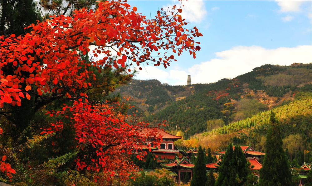 陶渊明南山风景,陶渊明南山的美景