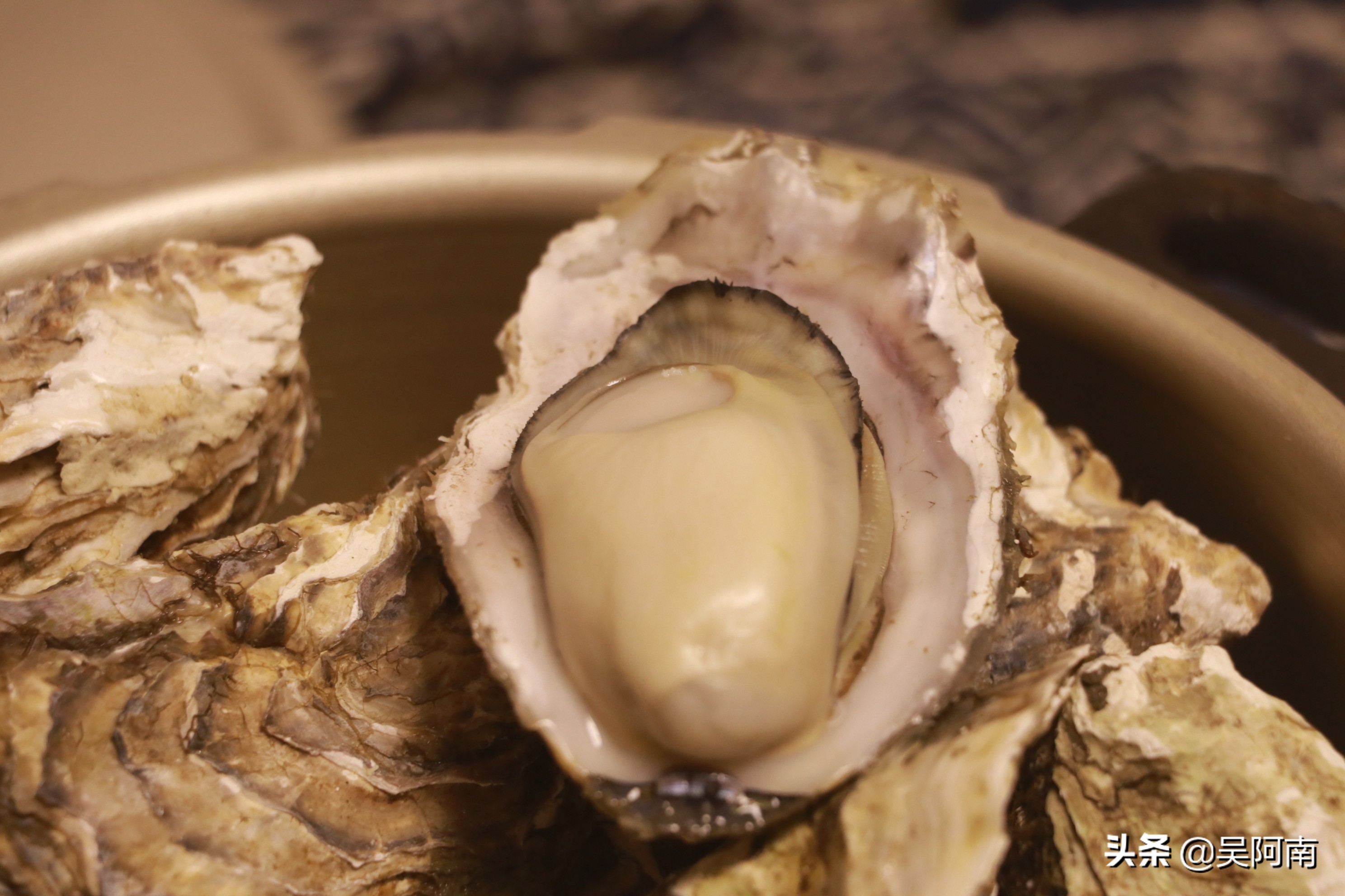 8种简单又美味的生蚝做法,生蚝该怎么吃好吃又简单