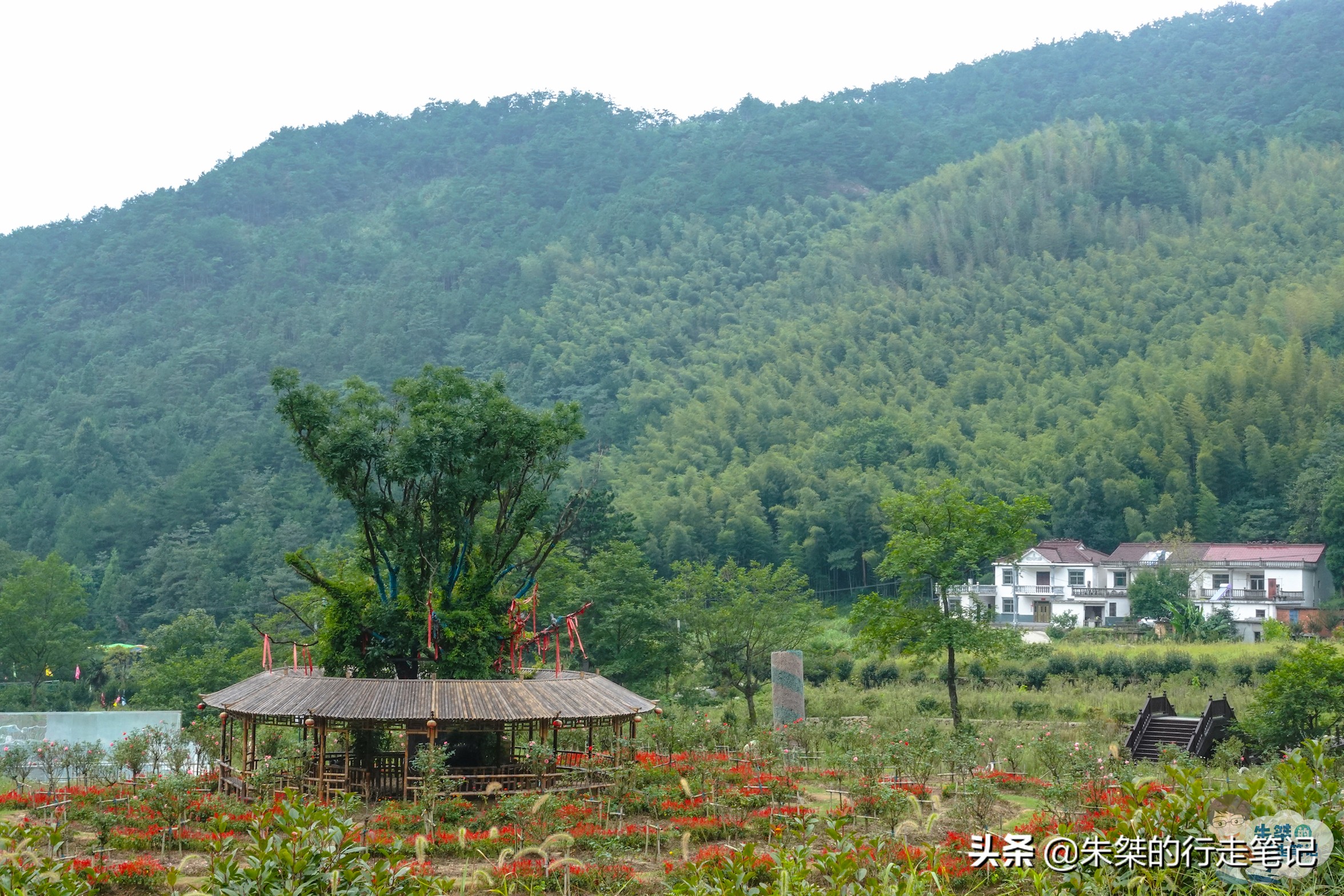 七仙女天柱山风景图片,安徽天柱山天仙峡景区