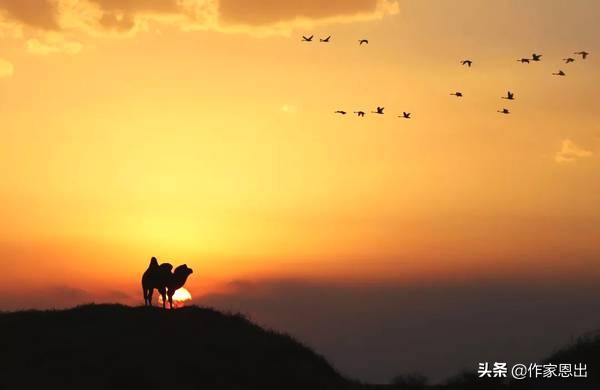 鄂托克草原,走进草原第一季第六集
