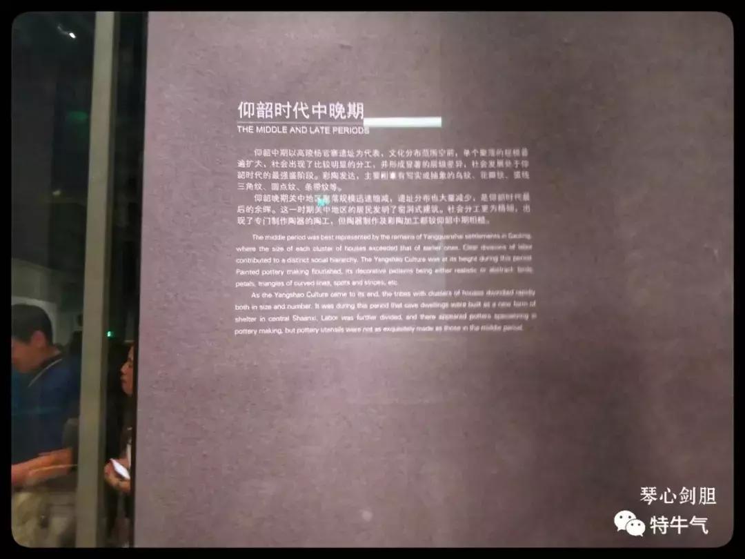 赤金走龙陕西历史博物馆,陕西历史博物馆抢票攻略