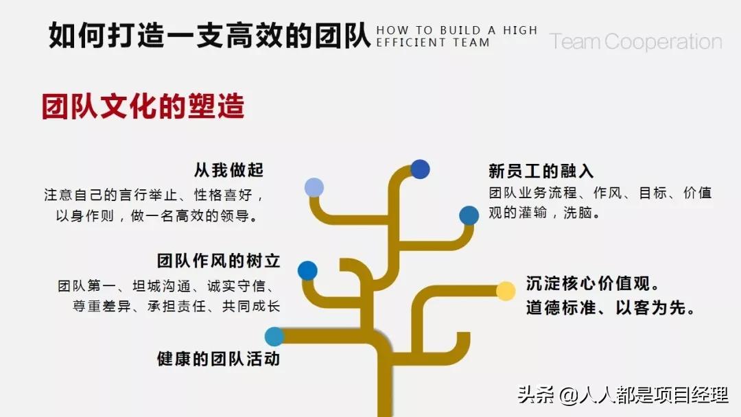 团队建设存在的问题ppt,护理团队建设ppt课件