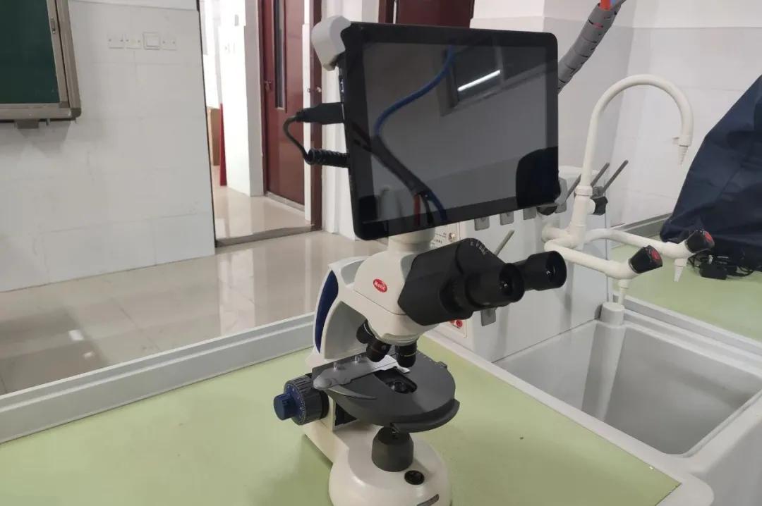 智慧校园智能化系统整体解决方案,智慧校园整体解决方案有哪些