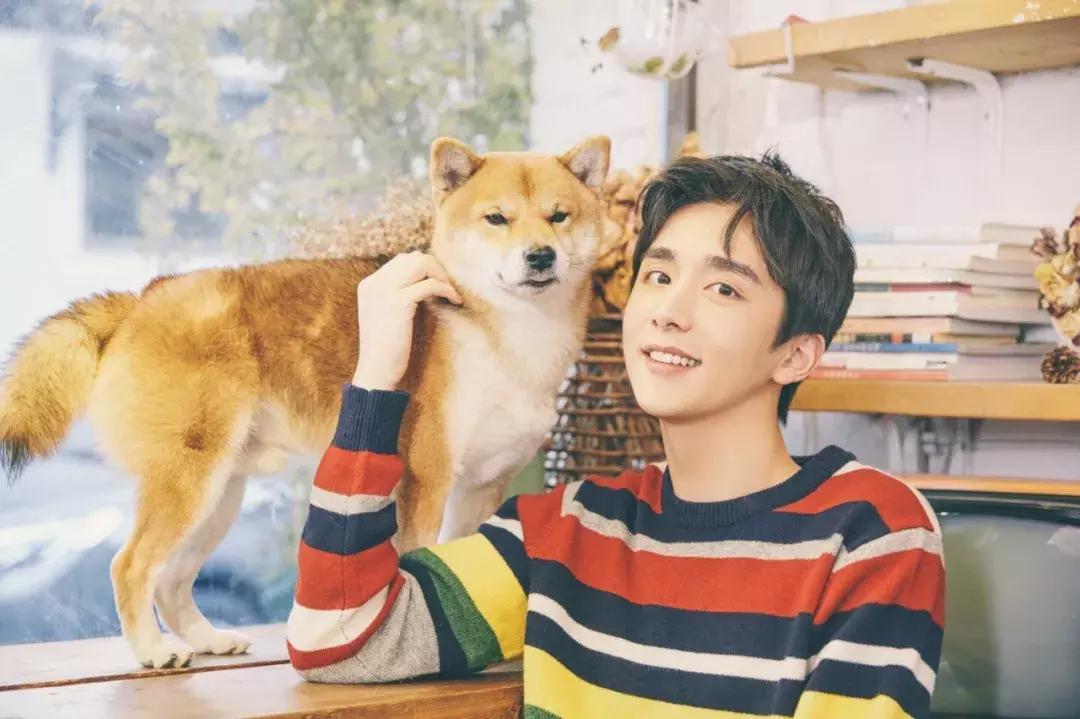 流量红利时代,流量红利期已经过去了