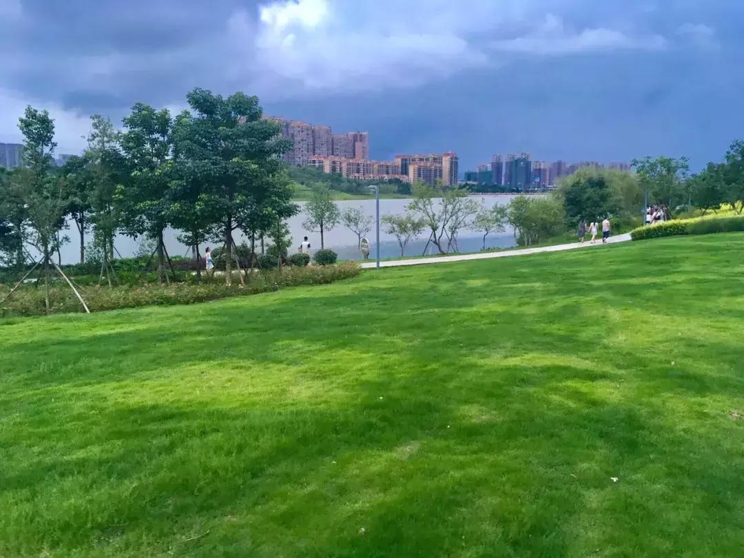 全球启动！仁寿城市发展再升级，牛牛牛！