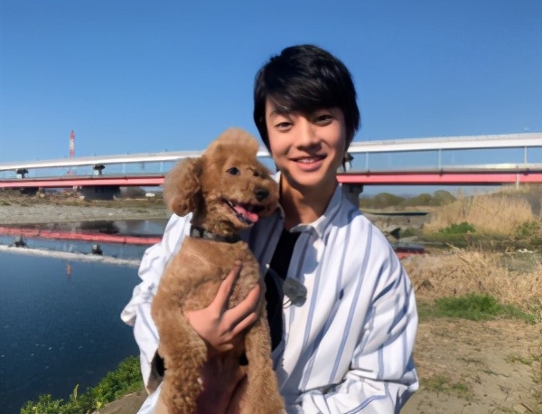 日本男明星被家暴的是谁,日本网红被家暴