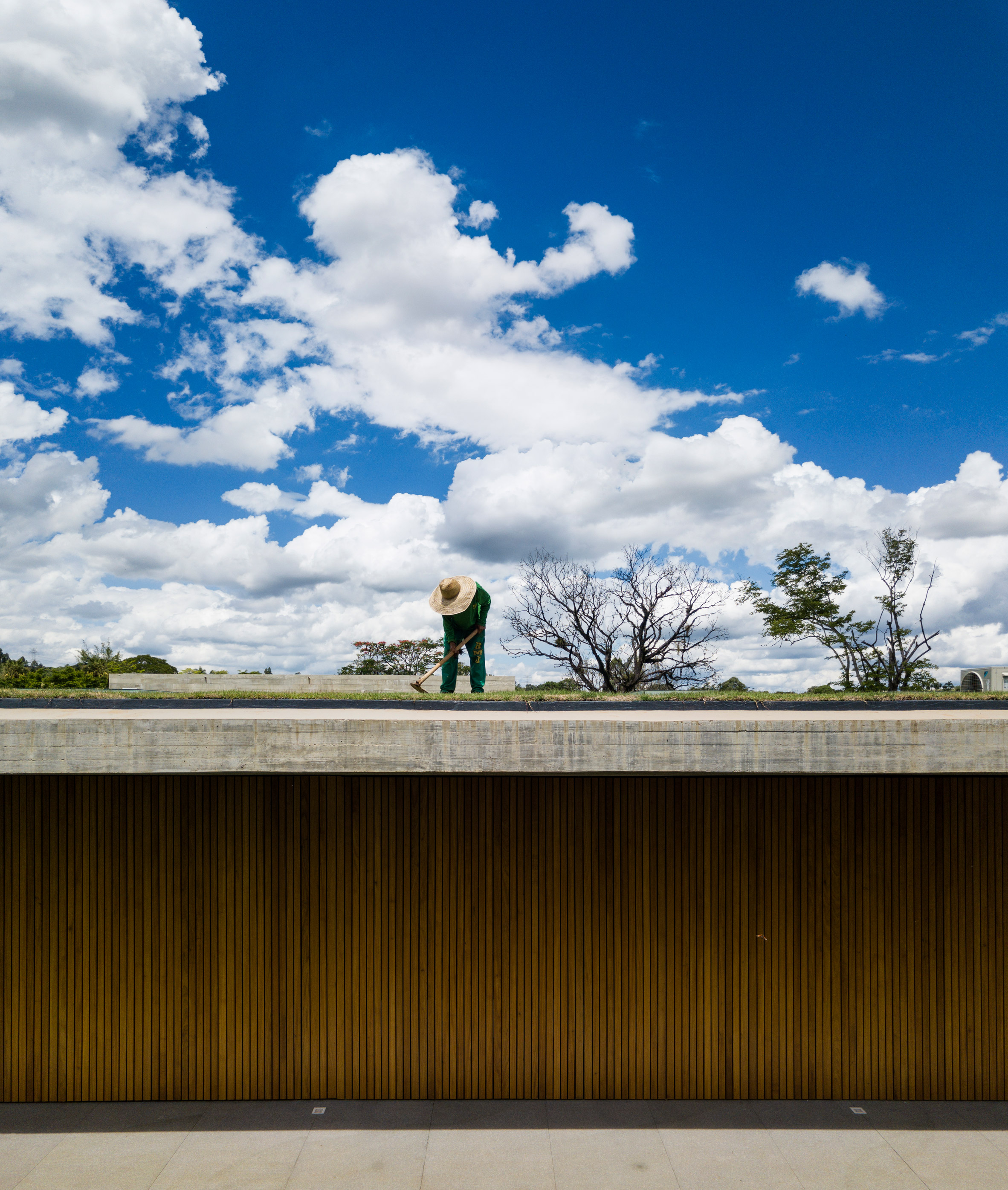 1000m²屋顶满种绿草，消隐在田园水光里的家
